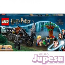 CARRUAJE Y THESTRALS HOGWARTS LEGO